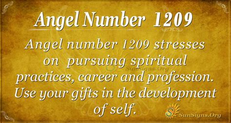 1209 meaning twin flame|1209 Angel Number: Meaning and Symbolism